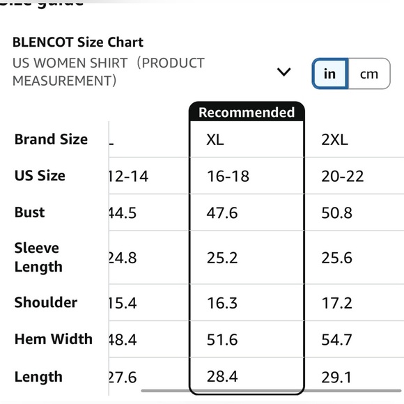 NWOT BLENCOT Boho Chiffon Blouses SZ XL - Picture 4 of 4